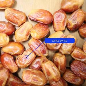 Buy cheap 8-Lane Palm Dates Sorting Machine AI Deep Learning Size Sorting 2.0 Tons per Hour product