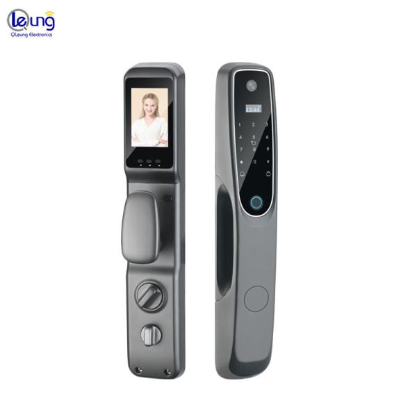 Quality Security App Door Lock Grey Smart Door Lock With Camera for sale