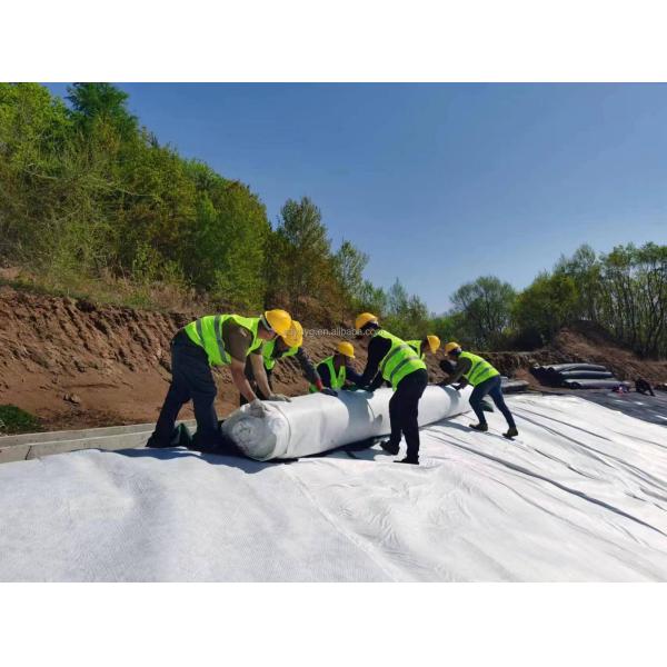 High Drainage HDPE Mesh Drainage Geonet 3D Composite Drainage Mat for Railways Highways