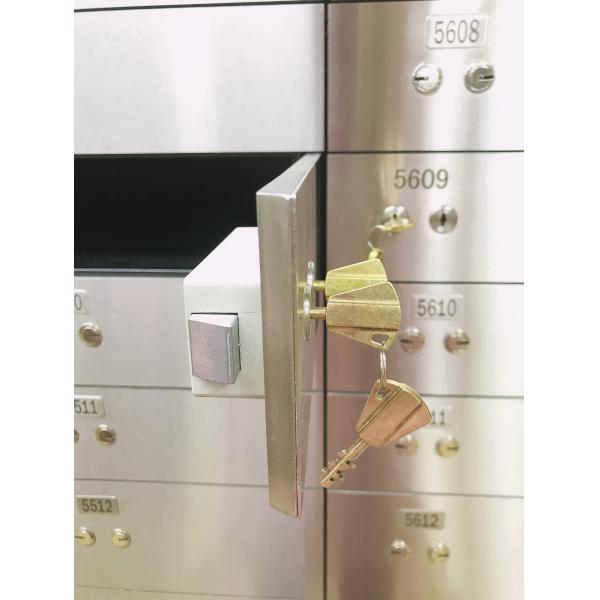 Durable Copper Dual Keys Safe Deposit Box Lock With UL Listed