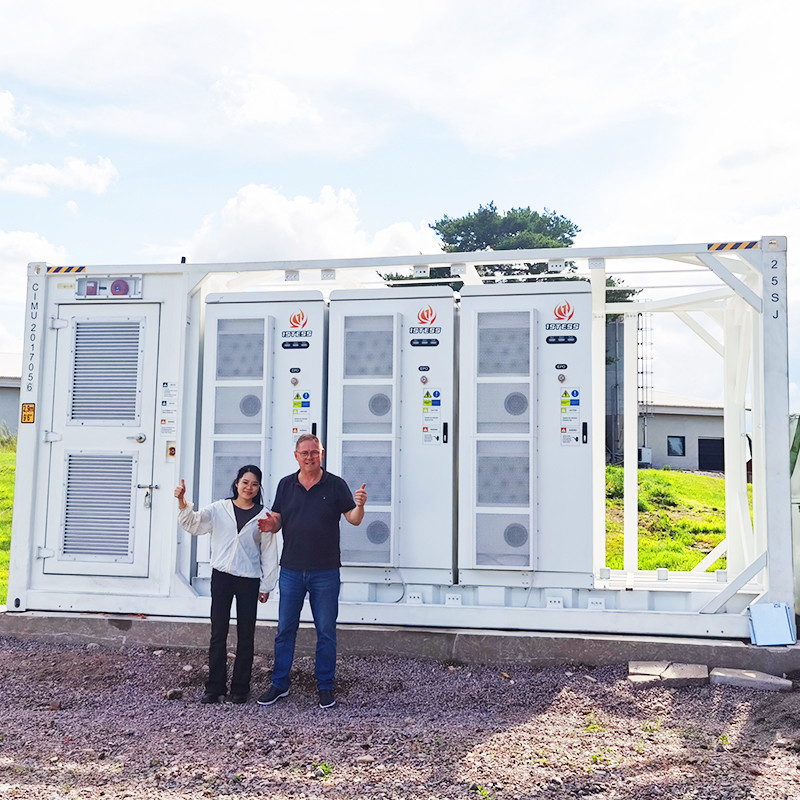 Industrial and Commercial 3P3W Grid Type BESS Container Energy Storage System Customizable 10mwh for 50/60Hz Frequency