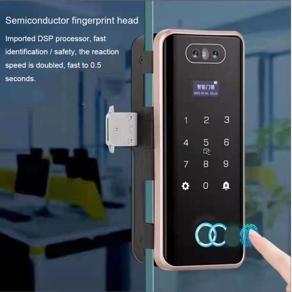 Intelligent G5S Glass Door Lock The Perfect Combination of Technology and Security