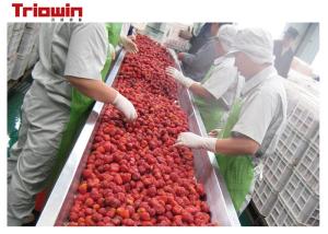 China Berry Juice Processing Machine Blueberry Beverage Processing Line  juice concentrate on sale