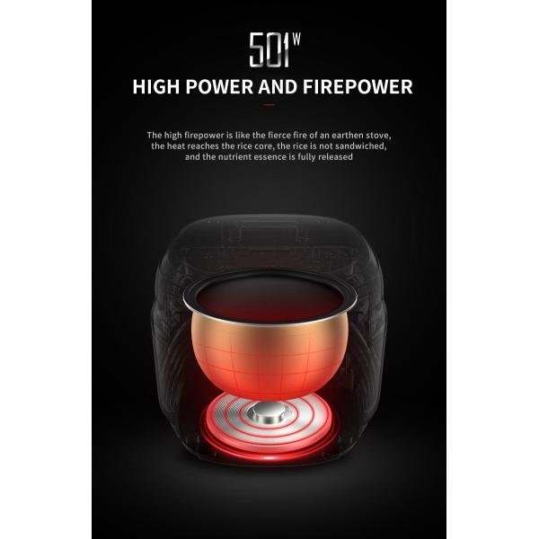 500W Multi Function Rice Cooker