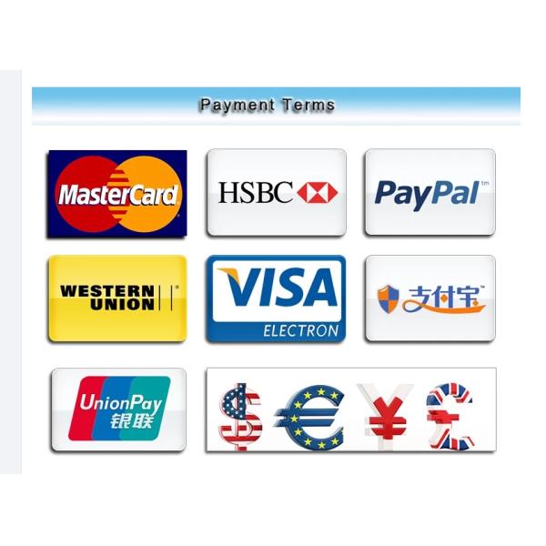 Oil Filled Diaphragm Natural Gas Line Pressure Test Gauge Measurement Tools 250 Psi