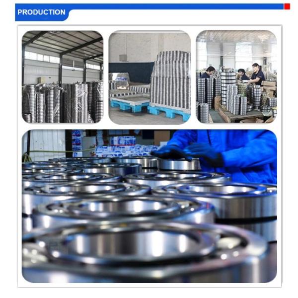 2300-6872-10CS Automotive Cylindrical Roller Bearing 28X80X21MM QRL