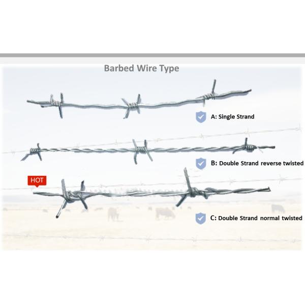 Multipurpose Barbed Wire Fence Free Sample Available High Security