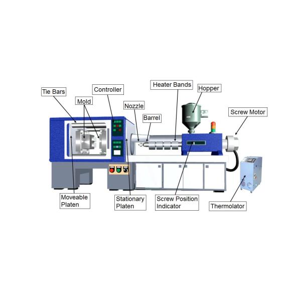 Double Shot Two Color LDPE Plastic Injection Molding