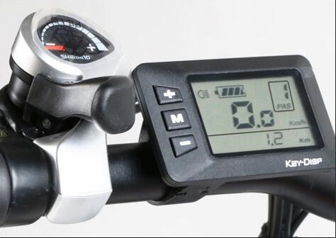 Brushless Hub Motor Pedal Assist 26 Inch Electric Folding Bike