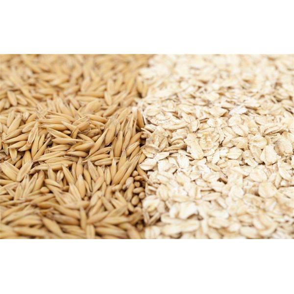 Tunnel type Microwave Drying Equipment Microwave Dryer For Grains And Beans