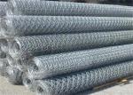 Normal Twisted Galvanized BWG21 Hexagonal Wire Netting