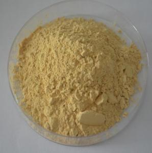 China 100% natural Panax Ginseng Extract Ginsenosides 20% -80% UV,CAS Number :41753-43-9 on sale