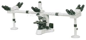 Buy cheap Binocular Multi Viewing Microscope EW10×/ 20 With Halogen Lamp product