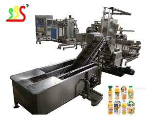SSS Small And Medium Fruit Production Line Customization