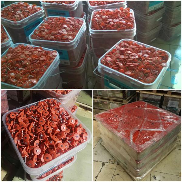 3"*11g Plastic Cap Nails Round Shape Iron Material