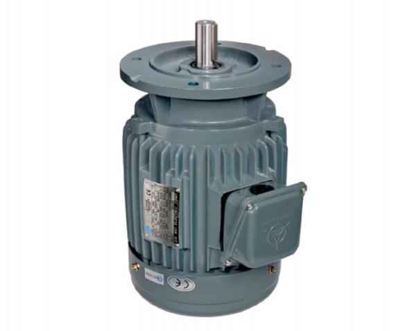 Quality Iec 62841 2 Iec 63 B14 Iec Standard Motor Frame Sizes 3 Phase Asynchronous Motor for sale