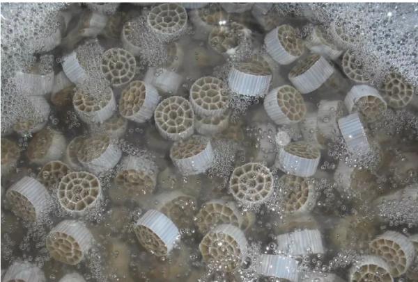 Quality Efficient Biofilm Carrier Treatment System For Longer Membrane for sale