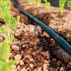 Quality Simple Structure Greenhouse Drip Irrigation System With Pe Pipe Material for sale