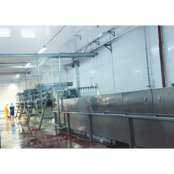 Quality Complete Chicken Slaughtering Line 500-10000bph Slaughterhouse Poultry Killing Equipment for sale