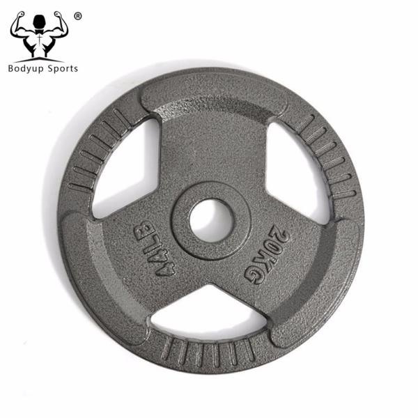 Quality 2-Inch Standard Grip Plates Cast Iron Weight Lifting Dics for sale