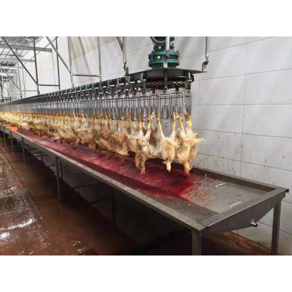 Quality Auto Halal Chicken Slaughtering Line High Productivity Slaughtering Machine For Chicken for sale