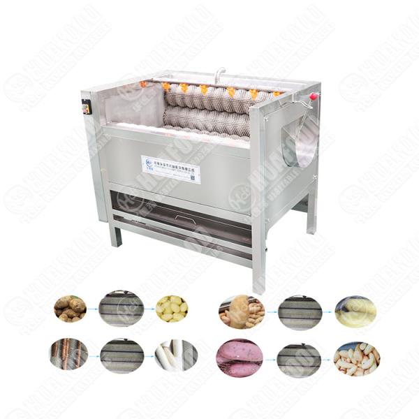 Quality Carrot Washing And Peeling Machine Multifunctional Vegetable Washer for sale