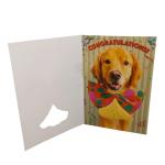10 Seconds Musical Greeting Cards With Light Sensor And Motion Sensor