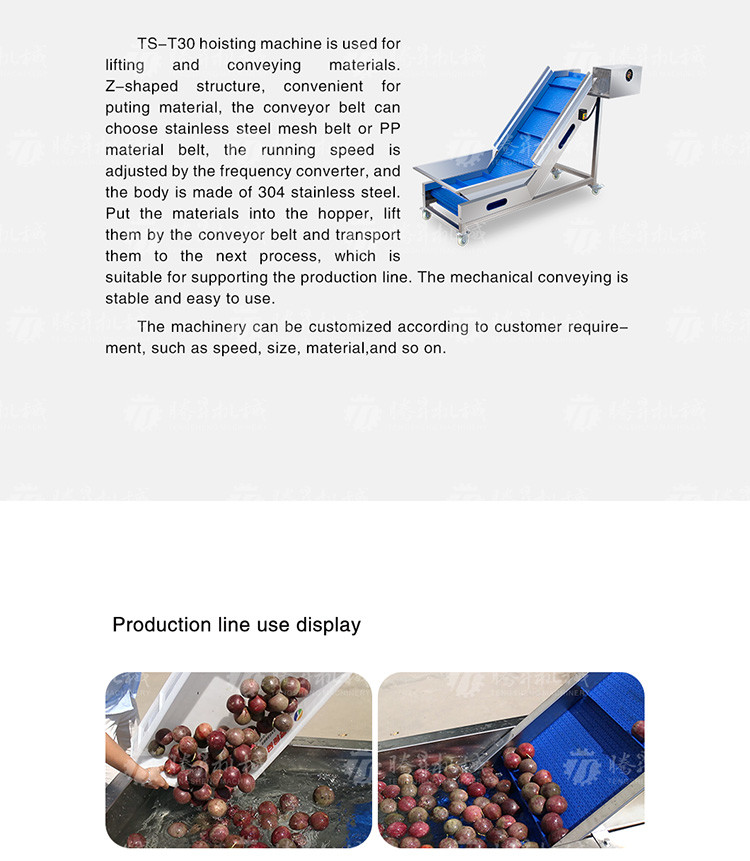 Revolutionize Your Production Process with Our Fruit And Vegetable Processing Line