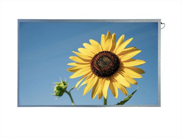 Quality 15.6-inch 1920*1080 Resolution LCD Panel with -20-70 °C Operating Temperature and 30000H LED Life Time for Display Control Panels for sale