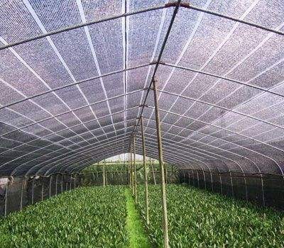 300gsm Recyclable 98% Nursery Shade Net Sunblock Garden Netting Mesh