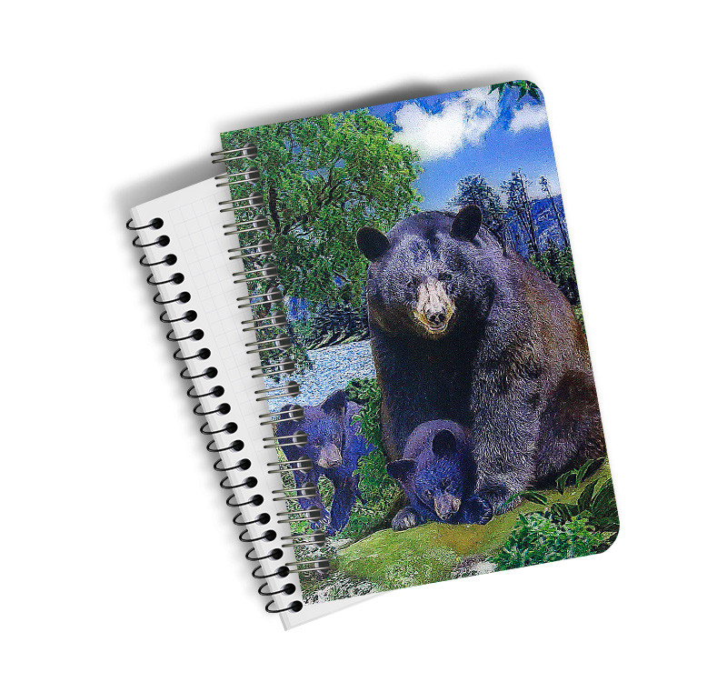 A5 PET 3D Lenticular Notebook Customized Spiral Bound Notebook SGS Listed