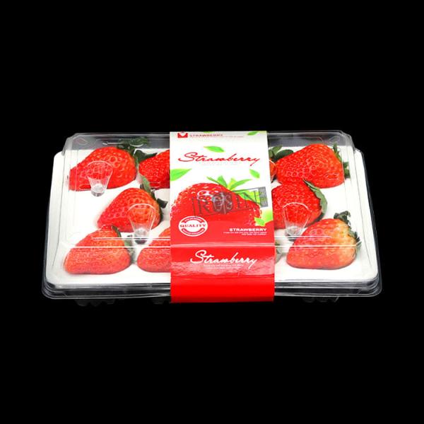 Quality 11 Compartments Clear Plastic Strawberry Containers Custom Waterproof for sale