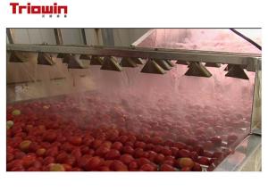 China Tomato Ketchup Manufacturing Plant / Tomato Sauce Making Plant Filling Type Available on sale
