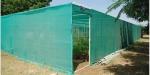 Highly Productive HDPE Green Shade Net Suppliers Machine with Different Features