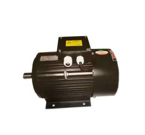 Buy cheap Special Inverter Variable Speed Motor , High Speed Asynchronous Motor For Printing IEC product