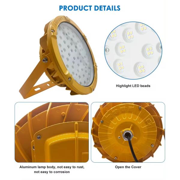 SMD2835/3030 LED Chips IP65 Waterproof 50W-300W Explosion Proof LED Lighting for Hazardous Locations