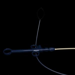 China Medical Devices Sterilized Flexible Acusnare Polypectomy Snare CE Approval on sale