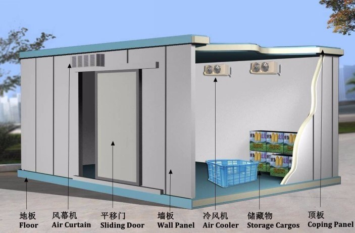 Professional Manufacturer Container Cold Room Cold Storage for Frozen Food Meat