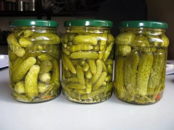 Quality Top Quality Pickle Barrels Cucumber/Salted Pickles Cucumber Jars Plastic for sale