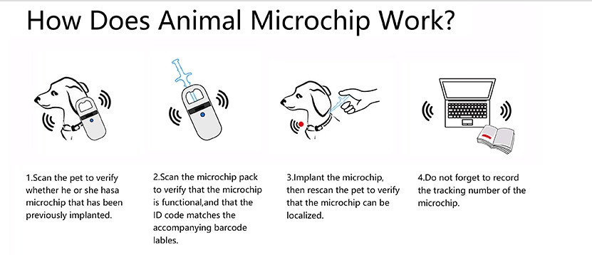 EO Disinfection Animal Syringe With Microchips ID Number For Animals Pets