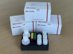 Buy cheap High Specificity ICC IHC Staining Reagent Kit Keypath P16 / Ki-67 Immunoassay product