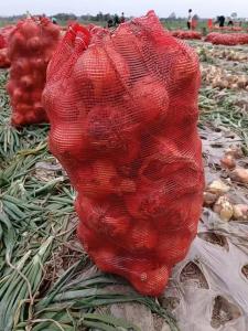 China PP Drawstring Mesh Netting Bags Vegetables Packing Onion Potatoes on sale