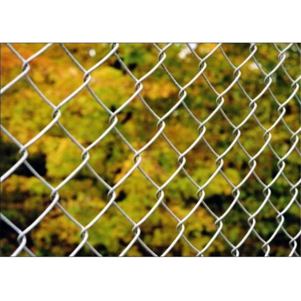 Hot Dipped Galvanized Chain Wire Fence for sale