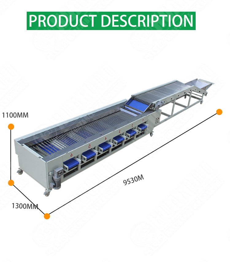3TPH Fruit And Vegetable Sorting Machine Carrot Onion Potato Grading Machine