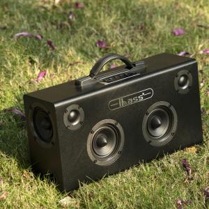 China Stereo Portable Speaker With Microphone For Professional Presentations on sale