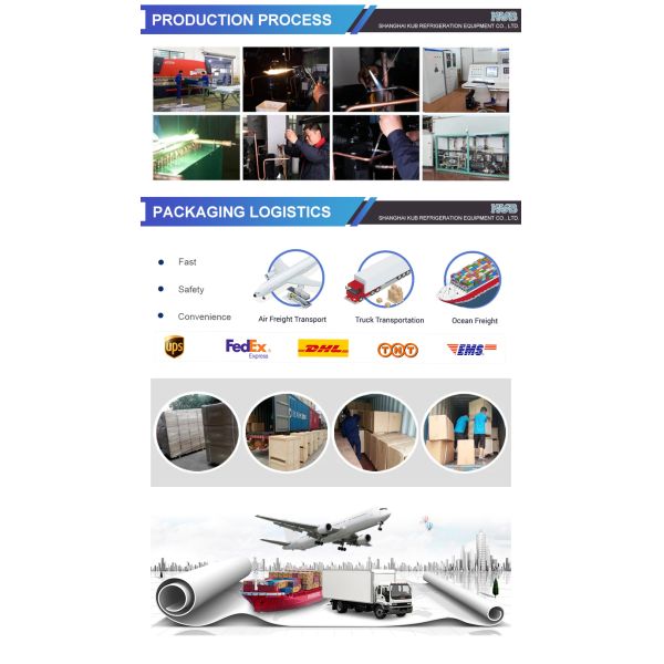 Storage Double Effect Air Cooled Cooler Condensate Mini Fridge Salt Chiller Tube Ice 5Hp Coldroom Cooling Coil Fan Evaporator