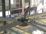 Ceiling Fan for Large Industrial Ventilation Customization and Mounting Options