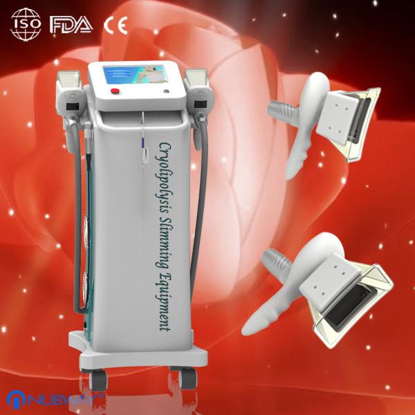 Quality Coolsculpting Cryolipolysis Slimming Machine With Touch Screen for Fat Reduction for sale