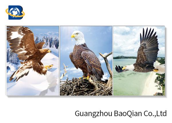 Quality Wall Hanging Decorative Beautiful Flying Eagle 3d Flip Moving Home / Hotel Wall Decoration for sale