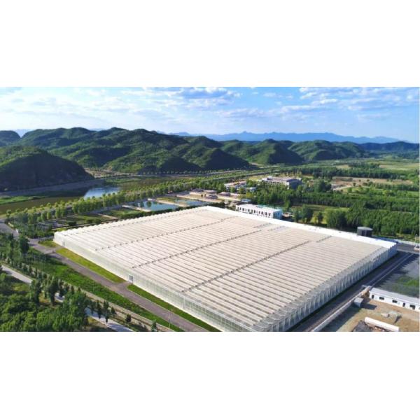 Drip Irrigation Glass Greenhouse Hydroponics System for Vegetables